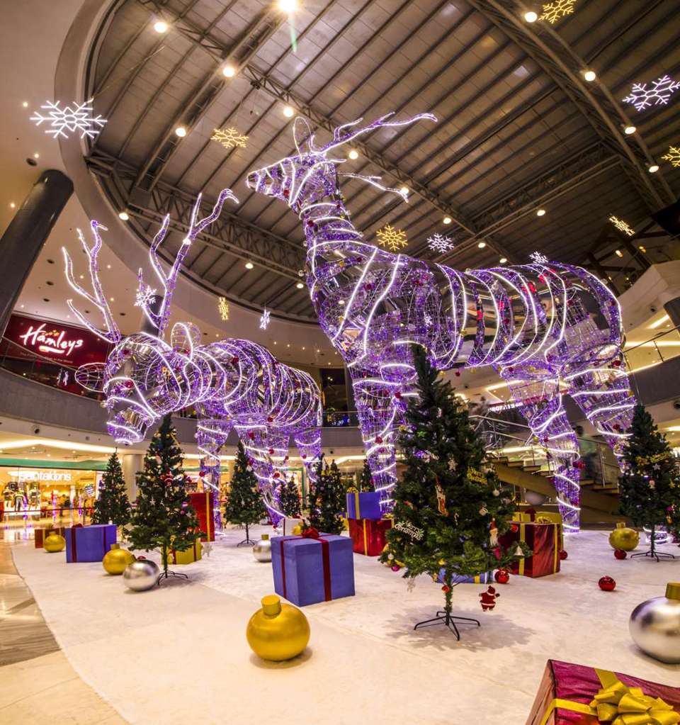Tallest Reindeers in the Country Take Over the Spirit of Christmas at