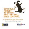 Events in Mumbai, World Animal Day, Adopt a stray, Inorbit Mall, 5 October 2013, 3.pm onwards