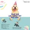 Pooch Party at Oberoi Mall