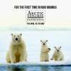 Arctic Adventure at Seawoods Grand Central Mall  7th April to 7th May 2017